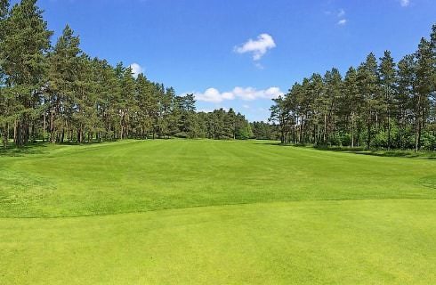 Long fairway on a golf course with green grass and surrounded by green trees