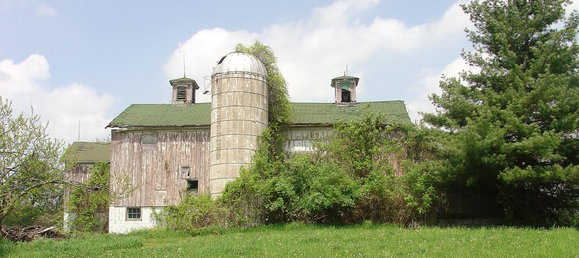 Old barn with worn white paint and attached silo surrounded by green trees, bushes, and grass