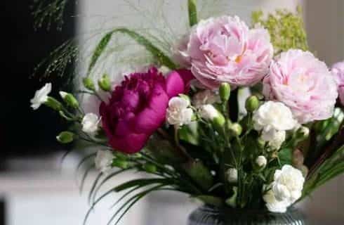 Close up view of purple and pink flowers in glass vase